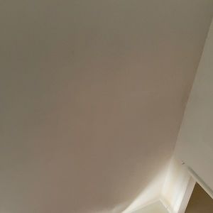 Meet your Posher, Dale